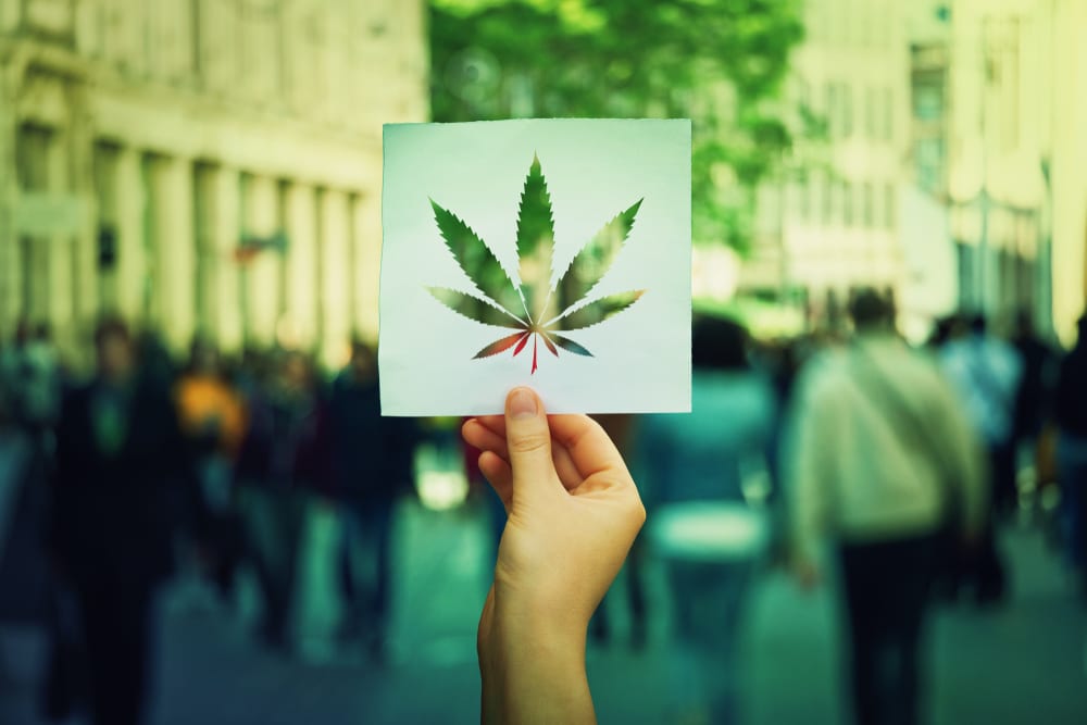 Photo of person holding cannabis weed stencil in front of people outside. Cannabis study weed study.